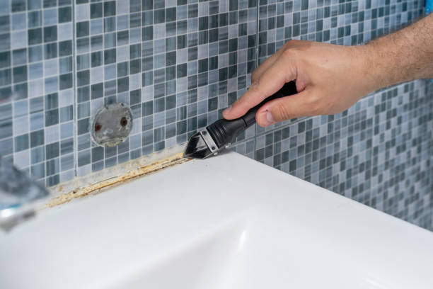 Best Mold Testing  in Linda, CA