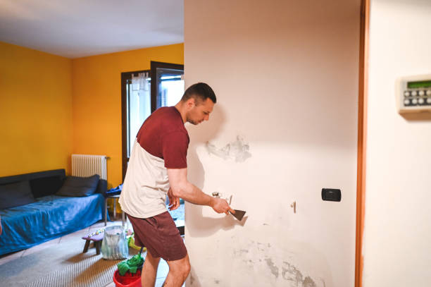 Best Mold Removal Near Me  in Linda, CA